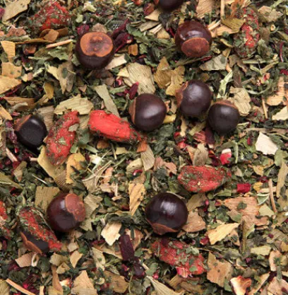 Tisanes Bio | Compagnie & Co Gingko Tisane tonifiante bio