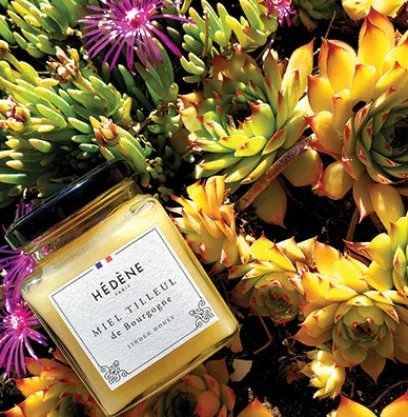 Épicerie | Compagnie & Co Miel Tilleul de France - Hédène