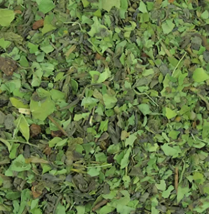 Tisanes | Thés Verts | Compagnie & Co Moringa Miraculeux