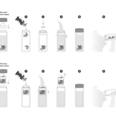 Autour Du Thé | Compagnie & Co Théière Nomade Inox Iso Noire