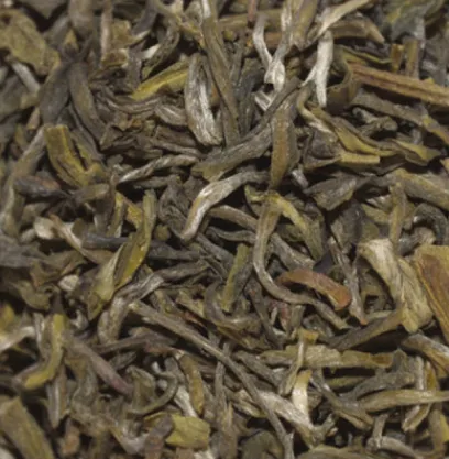Thés Nature | Thés Verts | Compagnie & Co Yunnan Vert